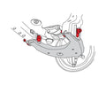 SPC Performance TOYOTA CAM BOLT KIT (2)
