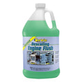 DESCALING MOTOR FLUSH GAL.