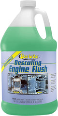 DESCALING MOTOR FLUSH GAL.