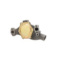 WATER PUMP KIT