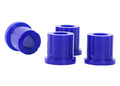 Leaf Spring and Shackle Bushing Kit