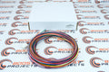 AEM Wiring Harness for V2 Controller w/ Multi Input