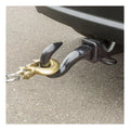 Curt auto part detail