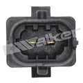 Walker Products Inc. - Sensors exhaust view
