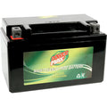 BikeMaster Battery - BTZ10S