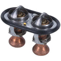MOTORAD auto part detail