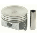 CAST PISTON - INDIVIDUAL