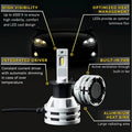 Hella Bulb H3 12/24V 19W Set of 2