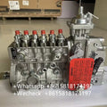 SPARK PLUG WIRE SET
