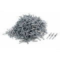 Small Head Rivet Silver 500pc 3/16in