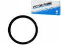 Engine Crankshaft Seal - 81-10448-00