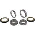 All Balls Racing 20-21 KTM Adventure 390 Steering Bearing Kit