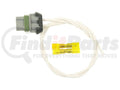 STANDARD IGN auto part