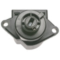 STANDARD IGN auto part detail
