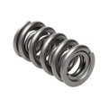 Manley SPRING-1.620 DOUBLE EA