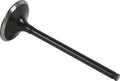 Hot Cams 02-06 CRF 450 R Steel Exhaust Valve