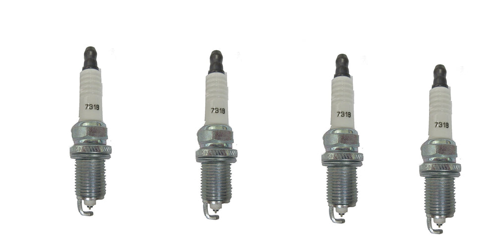 DOUBLE PLATINUM PLUGS