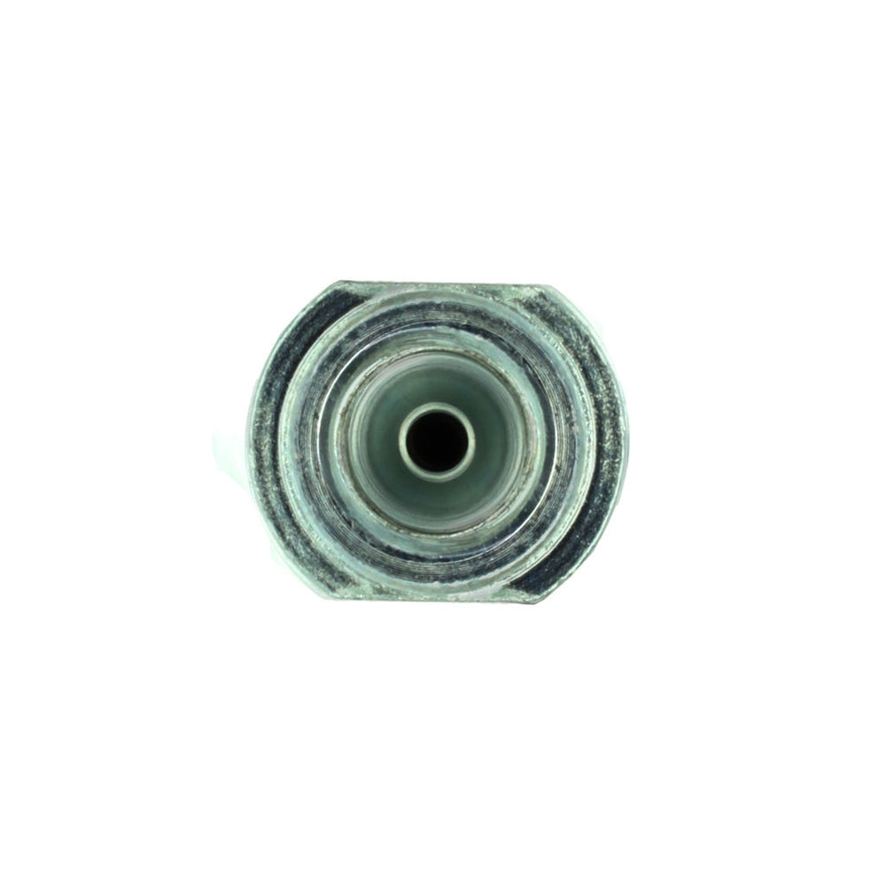 Centric Brake Hose - Rear