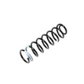 ~(7 lbs. 21X6X5)~ JL w/Mopar 2in Kit Front Coil Spring - Passenger Side