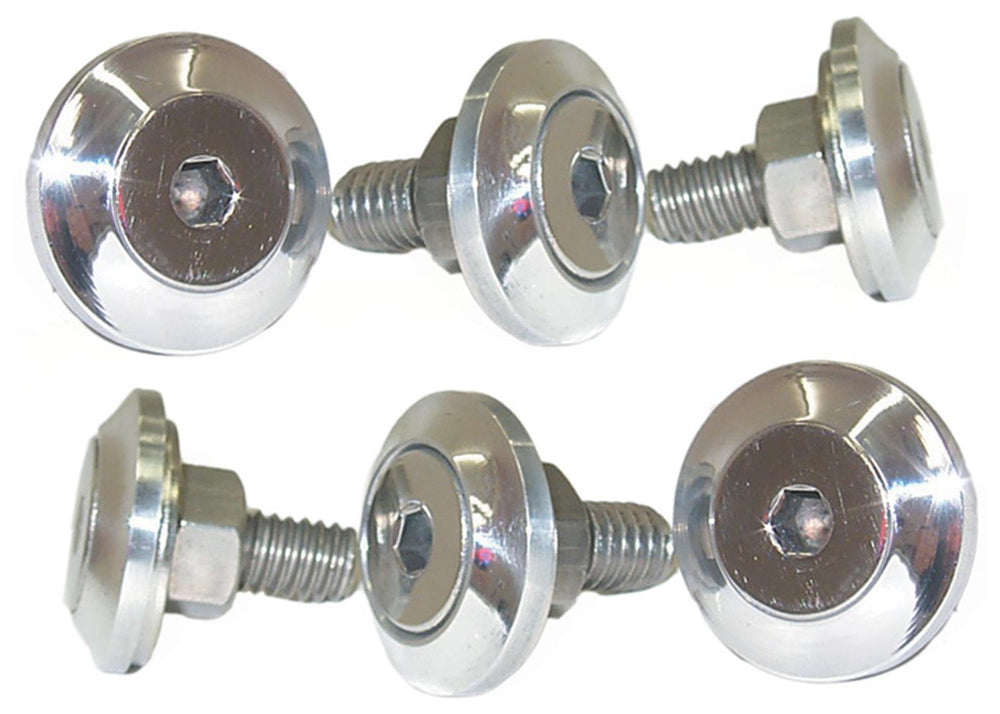 4754 CHEVY/GMC TRUCK BROTHERS TRUCKS FLUSH FENDER BOLT SET STAINLESS STEEL PO