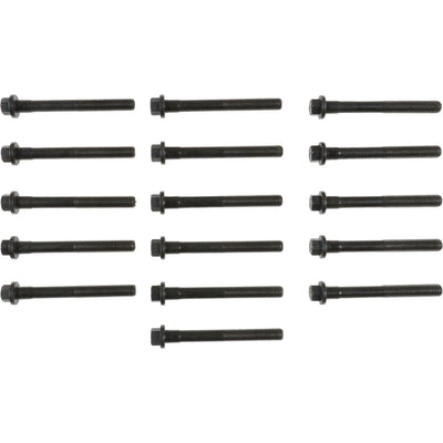 Engine Cylinder Head Bolt Set - 14-10102-01