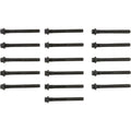 Engine Cylinder Head Bolt Set - 14-10102-01