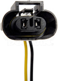 PIGTAIL OR SOCKET
