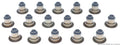 ENGINE VALVE STEM OIL SEAL SET