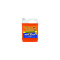 SUPER ORANGE CITRUS BOAT WASH GAL.