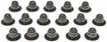 Ford Products V8 4.6L DOHC 1995-2004.