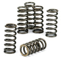 EBC 2014 KTM 250 Freeride R (250cc) 2T CSK Coil & Diaphragm Spring Kit