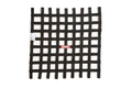 RaceQuip Black 24 X 24 SFI Ribbon Net