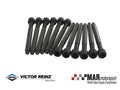 ENGINE CYLINDER HEAD BOLT SET