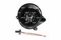DT TWO LAMP HARNESS / SWITCH