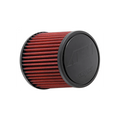 AEM DryFlow Air Filter