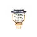 THERMOSTAT KIT