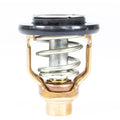 THERMOSTAT KIT