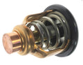 THERMOSTAT KIT