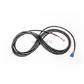 CAREFREE WIRE ASSY