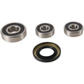 Pivot Works 90-96 Suzuki DR650RS (Euro) Rear Wheel Bearing Kit