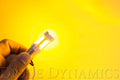Diode Dynamics 1157 LED Bulb HP48 LED - Amber (Pair)