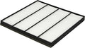 0915 CAMARO/CAPRICE CABIN AIR PANEL FILTER 9.9IN L X 9.61IN W X .79IN H QTY