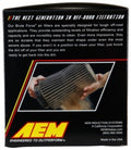 AEM DryFlow Air Filter