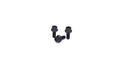 ARP Ford Zetec 2.0L Cam Bolt Kit