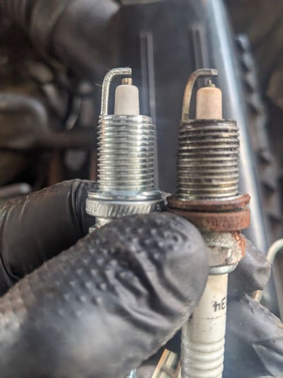 DAYCO HYDRAULIC auto part