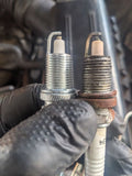 DAYCO HYDRAULIC auto part