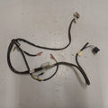 WIRING HARNESS DBW 2010 12V