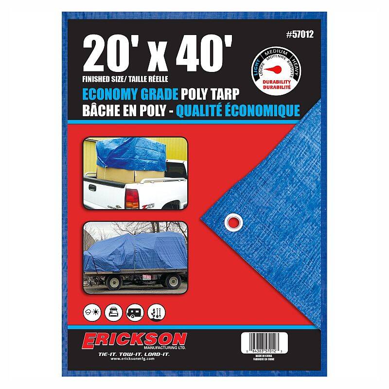 ERICKSON blue auto part