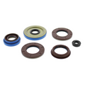 QuadBoss 2014 Polaris Ranger 900 Diesel HST/Deluxe Oil Seal Set