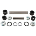 All Balls Racing Rear Ind. Knuckle Side Kit